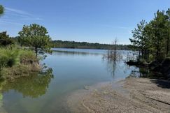 Lakefront Property for sale in Sumter County, Alabama