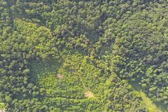 Hunting Land for sale in Bledsoe County, Tennessee