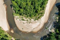 Hunting Land for sale in Pike County, Mississippi