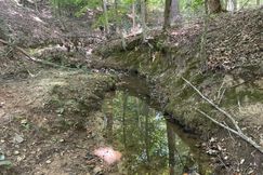 Timberland Property for sale in Wilkes County, Georgia