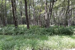 Undeveloped Land for sale in Carbon County, Pennsylvania