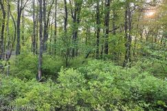 Undeveloped Land for sale in Carbon County, Pennsylvania