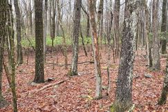 Undeveloped Land for sale in Carbon County, Pennsylvania