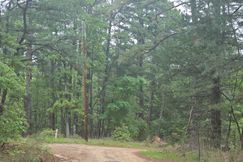 Undeveloped Land for sale in Pushmataha County, Oklahoma
