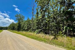 Undeveloped Land for sale in Texas County, Missouri