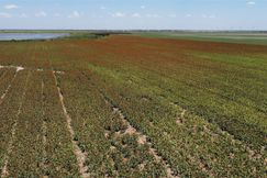 Property for sale in Haskell County, Texas
