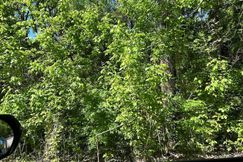 Property for sale in Cullman County, Alabama