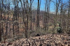 Property for sale in Cullman County, Alabama