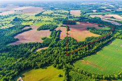 Undeveloped Land for sale in Madison County, Alabama