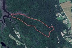 Undeveloped Land for sale in Isle of Wight County, Virginia