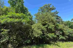 Undeveloped Land for sale in Caldwell County, Kentucky