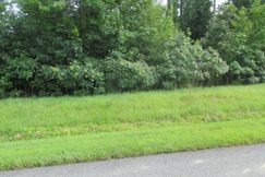 Undeveloped Land for sale in Louisa County, Virginia