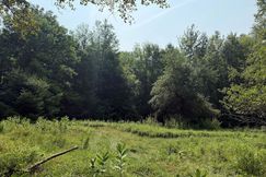 Undeveloped Land for sale in Warren County, New York