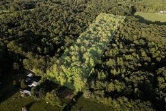 Undeveloped Land for sale in Louisa County, Virginia