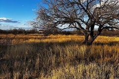 Undeveloped Land for sale in Santa Cruz County, Arizona