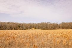 Undeveloped Land for sale in Warren County, Mississippi