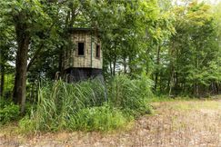 Undeveloped Land for sale in Coshocton County, Ohio
