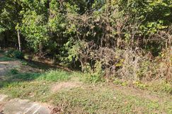 Undeveloped Land for sale in Jefferson County, Alabama