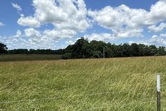 Undeveloped Land for sale in Lawrence County, Tennessee