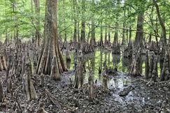 Recreational Property for sale in Webster Parish, Louisiana