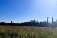Undeveloped Land for sale in Kenai Peninsula Borough, Alaska