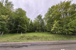 Undeveloped Land for sale in Chautauqua County, New York