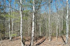 Undeveloped Land for sale in Blount County, Tennessee