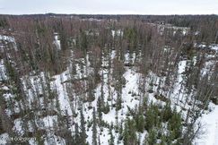 Undeveloped Land for sale in Kenai Peninsula Borough, Alaska