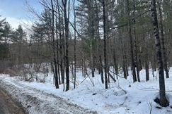 Undeveloped Land for sale in Essex County, New York