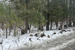 Undeveloped Land for sale in Essex County, New York