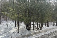 Undeveloped Land for sale in Essex County, New York