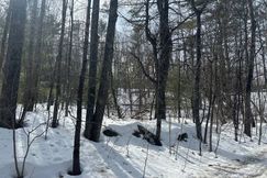 Undeveloped Land for sale in Essex County, New York