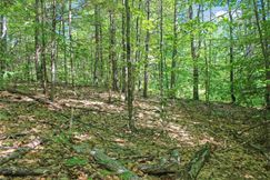 Undeveloped Land for sale in Carroll County, New Hampshire