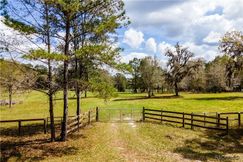 Undeveloped Land for sale in Levy County, Florida