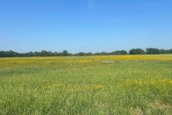 Undeveloped Land for sale in Harvey County, Kansas