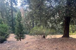 Undeveloped Land for sale in San Bernardino County, California
