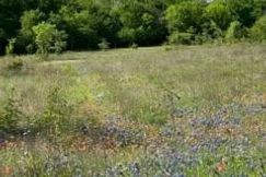 Undeveloped Land for sale in Hill County, Texas