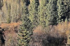 Undeveloped Land for sale in San Miguel County, Colorado