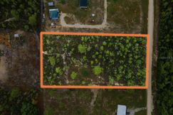 Undeveloped Land for sale in Levy County, Florida