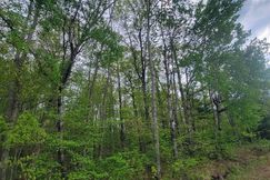 Property for sale in Burnett County, Wisconsin