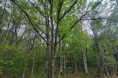 Property for sale in Burnett County, Wisconsin