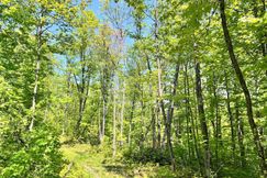 Property for sale in Vilas County, Wisconsin