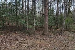 Undeveloped Land for sale in Montgomery County, North Carolina