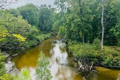 Undeveloped Land for sale in Oceana County, Michigan