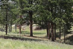 Undeveloped Land for sale in Teller County, Colorado