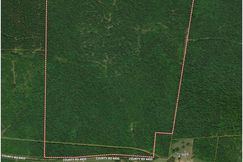 Undeveloped Land for sale in Panola County, Texas