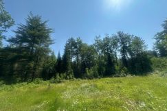 Property for sale in Vilas County, Wisconsin
