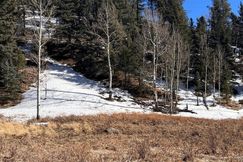 Undeveloped Land for sale in Teller County, Colorado