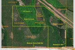 Undeveloped Land for sale in Cheboygan County, Michigan