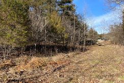 Undeveloped Land for sale in Taney County, Missouri